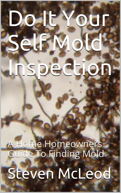 Do-It-Yourself Mold Inspection - book author Steve